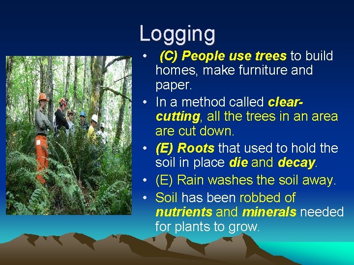 Logging • (C) People use trees to build homes, make furniture and paper. •