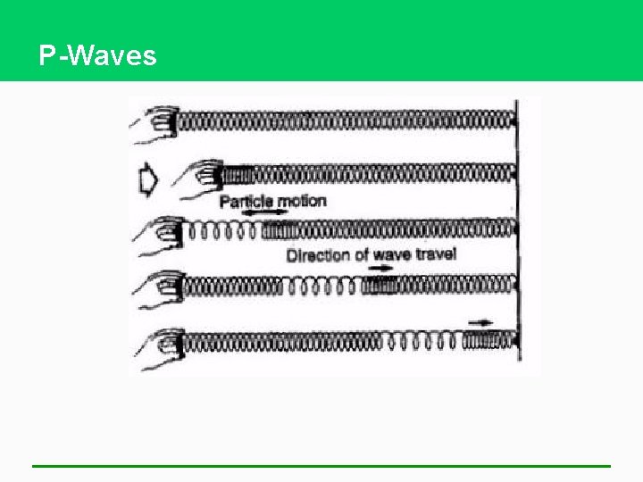 P-Waves 