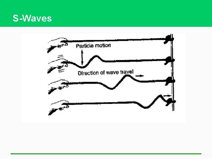 S-Waves 