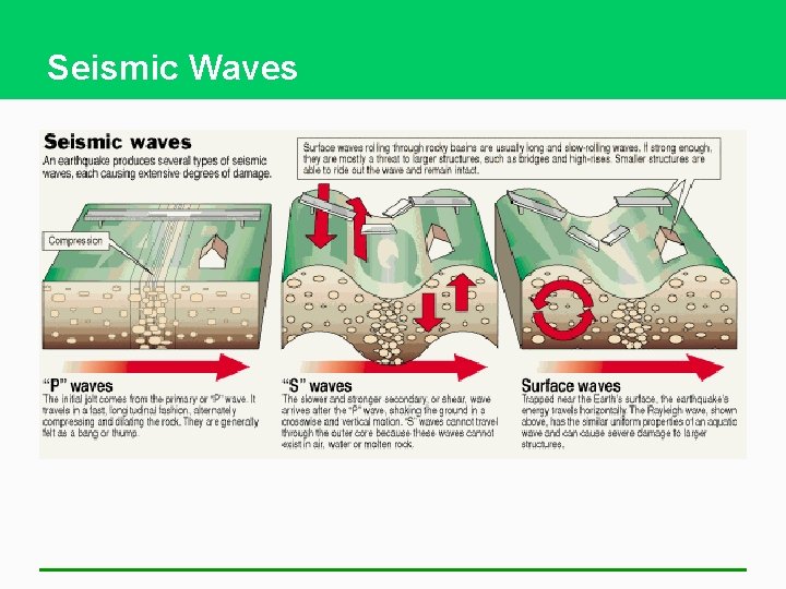 Seismic Waves 