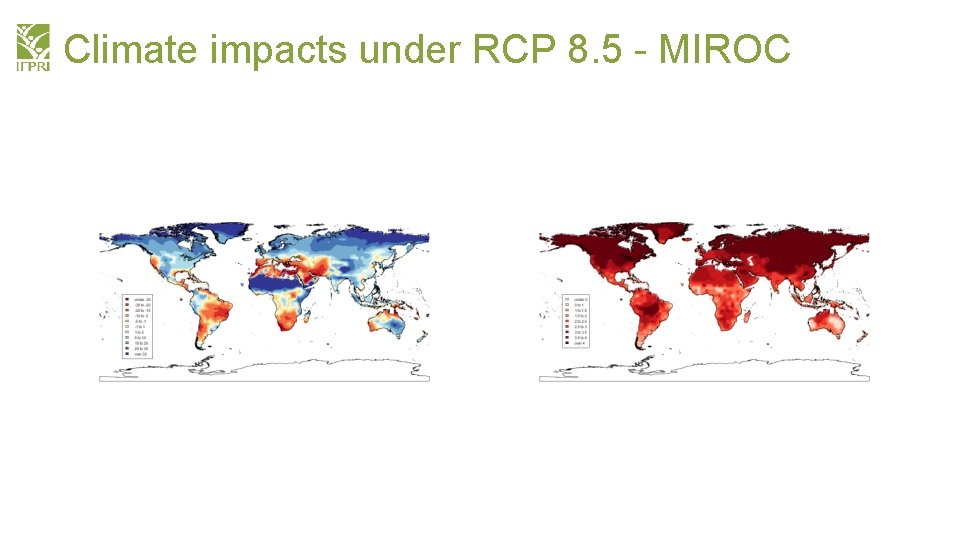 Climate impacts under RCP 8. 5 - MIROC 