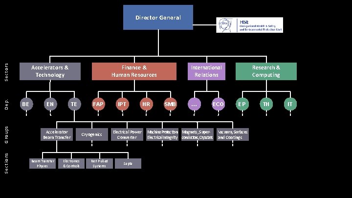 Director General Sections Groups Dep. Sectors Director General Accelerators & Technology BE EN TE Director General Sections Groups Dep. Sectors Director General Accelerators & Technology BE EN TE
