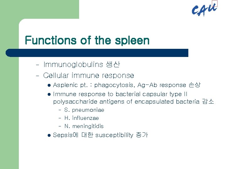 Functions of the spleen – – Immunoglobulins 생산 Cellular immune response l l Asplenic