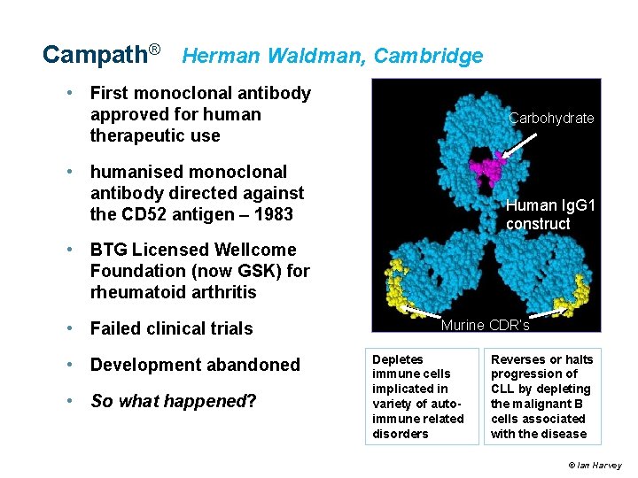 Campath® Herman Waldman, Cambridge • First monoclonal antibody approved for human therapeutic use Carbohydrate Campath® Herman Waldman, Cambridge • First monoclonal antibody approved for human therapeutic use Carbohydrate