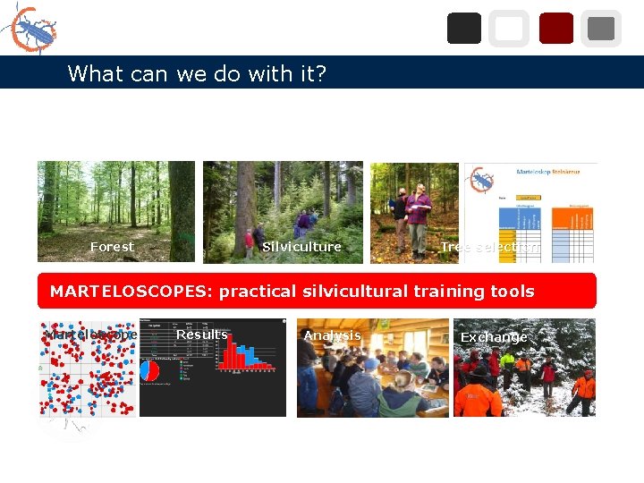 What can we do with it? Forest Silviculture Tree selection MARTELOSCOPES: practical silvicultural training