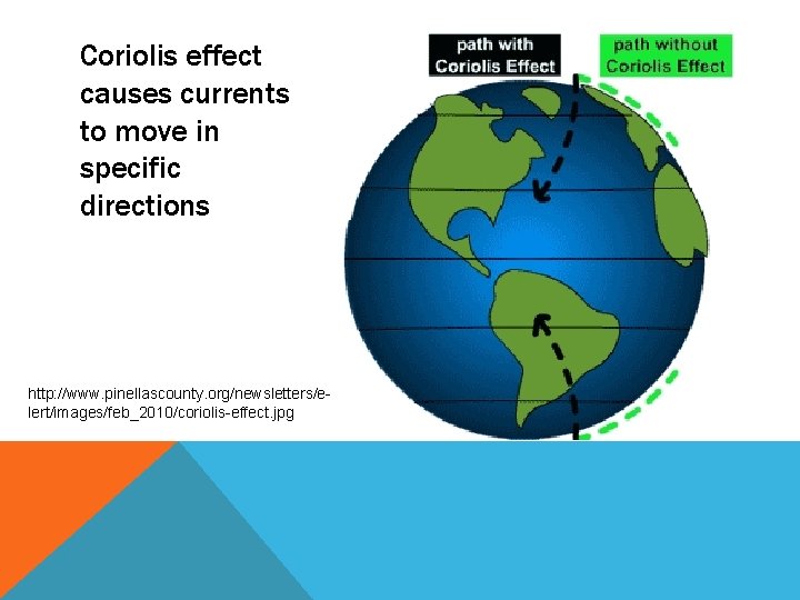 Coriolis effect causes currents to move in specific directions http: //www. pinellascounty. org/newsletters/elert/images/feb_2010/coriolis-effect. jpg
