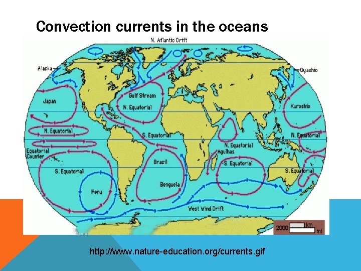 Convection currents in the oceans http: //www. nature-education. org/currents. gif 