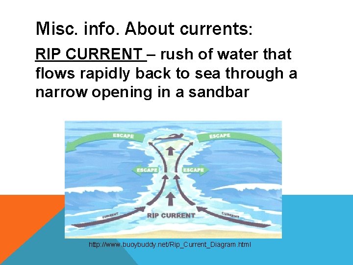 Misc. info. About currents: RIP CURRENT – rush of water that flows rapidly back