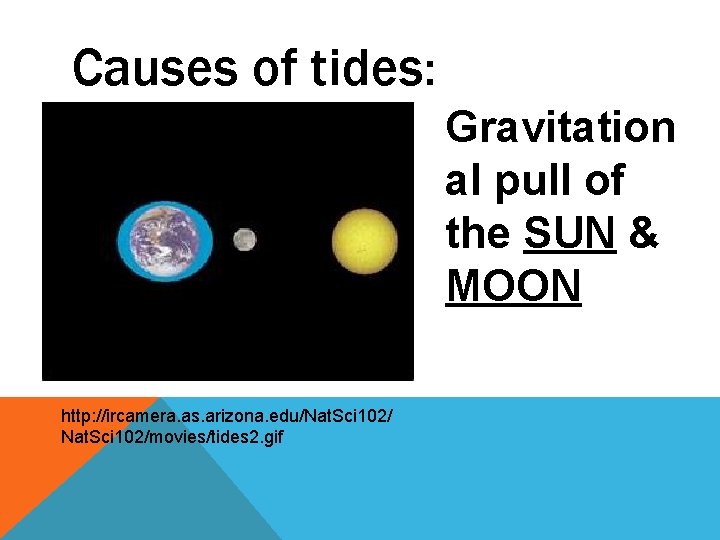 Causes of tides: Gravitation al pull of the SUN & MOON http: //ircamera. as.