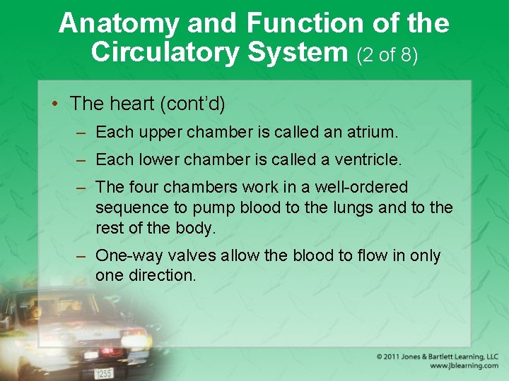 Anatomy and Function of the Circulatory System (2 of 8) • The heart (cont’d)