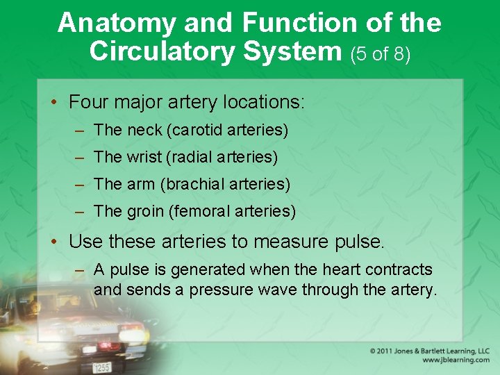 Anatomy and Function of the Circulatory System (5 of 8) • Four major artery