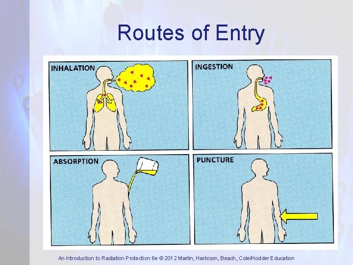 Routes of Entry An Introduction to Radiation Protection 6 e © 2012 Martin, Harbison,