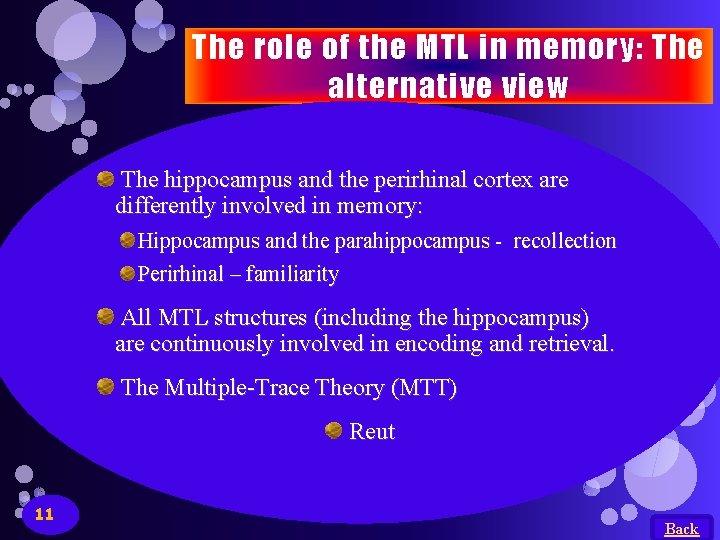 The role of the MTL in memory: The alternative view The hippocampus and the The role of the MTL in memory: The alternative view The hippocampus and the