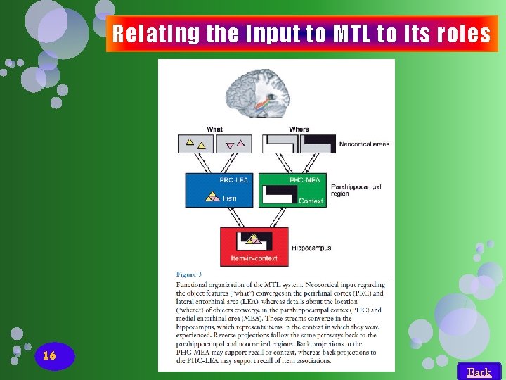 Relating the input to MTL to its roles 16 Back Relating the input to MTL to its roles 16 Back