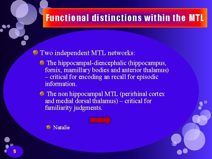 Functional distinctions within the MTL Two independent MTL networks: The hippocampal-diencephalic (hippocampus, fornix, mamillary Functional distinctions within the MTL Two independent MTL networks: The hippocampal-diencephalic (hippocampus, fornix, mamillary