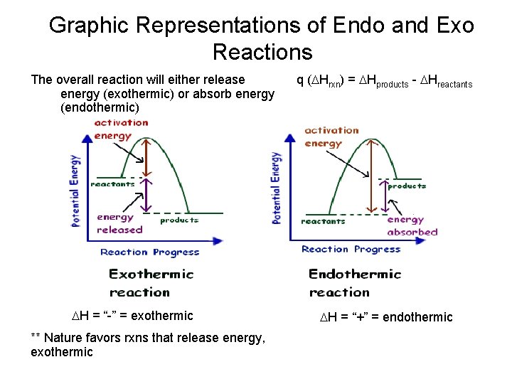Graphic Representations of Endo and Exo Reactions The overall reaction will either release energy Graphic Representations of Endo and Exo Reactions The overall reaction will either release energy