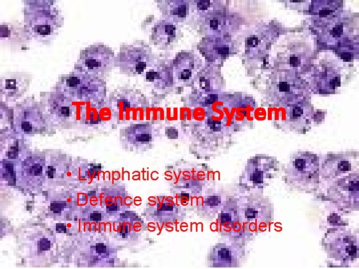 The Immune System • Lymphatic system • Defence system • Immune system disorders 