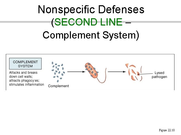 Nonspecific Defenses (SECOND LINE – Complement System) Figure 22. 10 