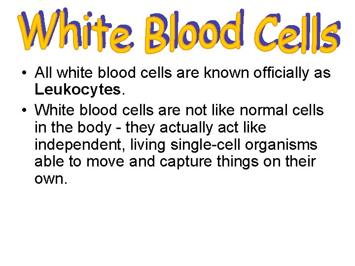  • All white blood cells are known officially as Leukocytes. • White blood