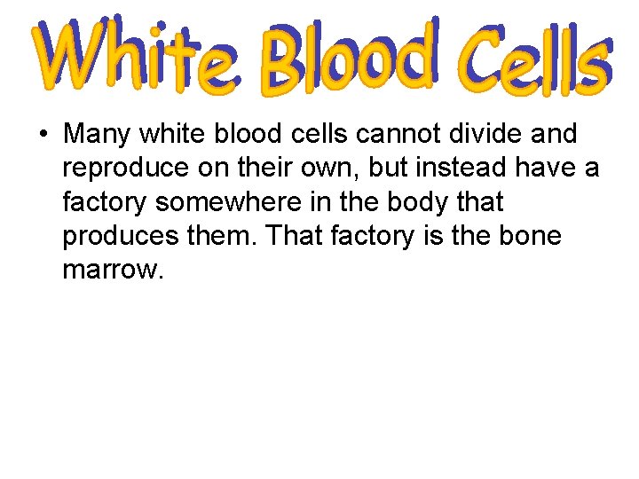  • Many white blood cells cannot divide and reproduce on their own, but
