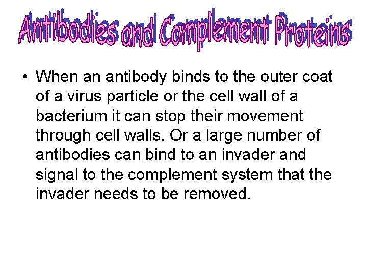  • When an antibody binds to the outer coat of a virus particle