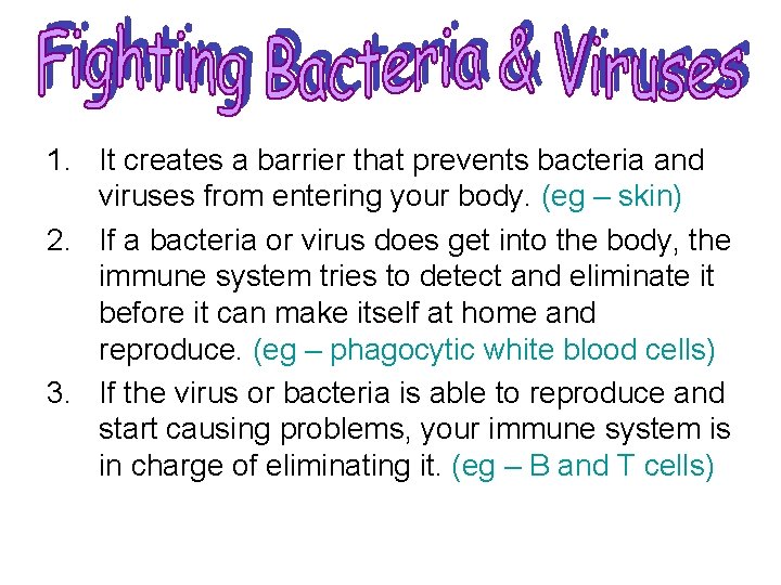 1. It creates a barrier that prevents bacteria and viruses from entering your body.