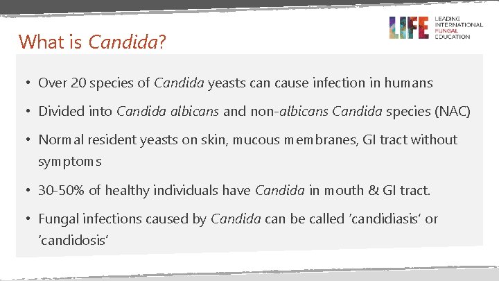 What is Candida? • Over 20 species of Candida yeasts can cause infection in What is Candida? • Over 20 species of Candida yeasts can cause infection in