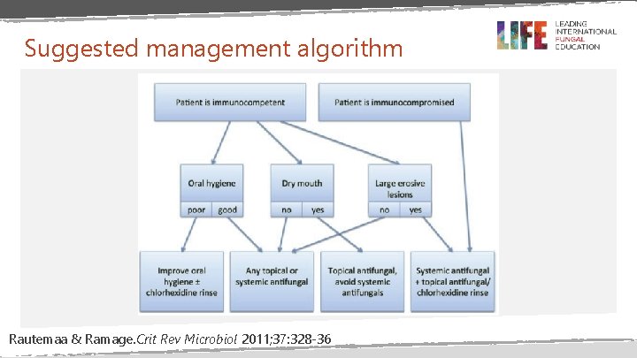 Suggested management algorithm Rautemaa & Ramage. Crit Rev Microbiol 2011; 37: 328 -36 Suggested management algorithm Rautemaa & Ramage. Crit Rev Microbiol 2011; 37: 328 -36