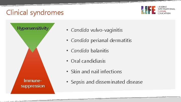 Clinical syndromes Hypersensitivity • Candida vulvo-vaginitis • Candida perianal dermatitis • Candida balanitis • Clinical syndromes Hypersensitivity • Candida vulvo-vaginitis • Candida perianal dermatitis • Candida balanitis •