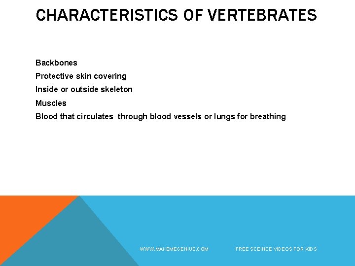 CHARACTERISTICS OF VERTEBRATES Backbones Protective skin covering Inside or outside skeleton Muscles Blood that