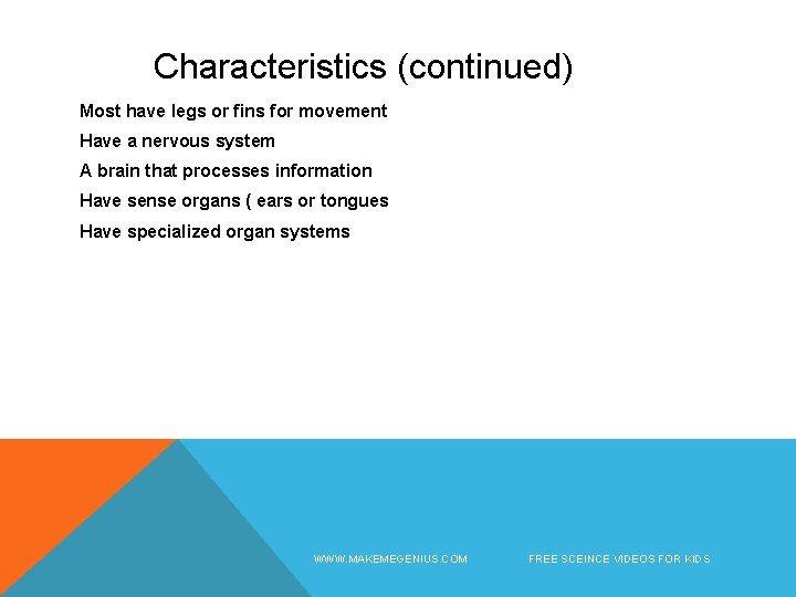 Characteristics (continued) Most have legs or fins for movement Have a nervous system A