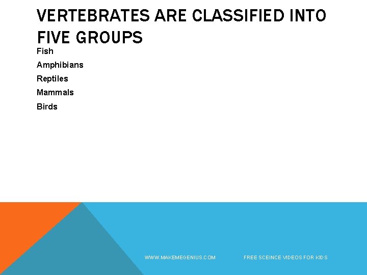 VERTEBRATES ARE CLASSIFIED INTO FIVE GROUPS Fish Amphibians Reptiles Mammals Birds WWW. MAKEMEGENIUS. COM