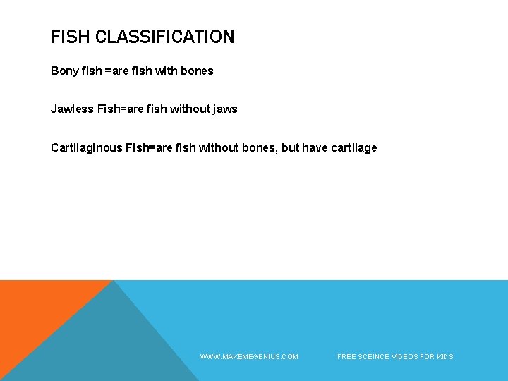 FISH CLASSIFICATION Bony fish =are fish with bones Jawless Fish=are fish without jaws Cartilaginous