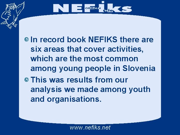 In record book NEFIKS there are six areas that cover activities, which are the