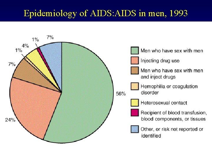 Epidemiology of AIDS: AIDS in men, 1993 