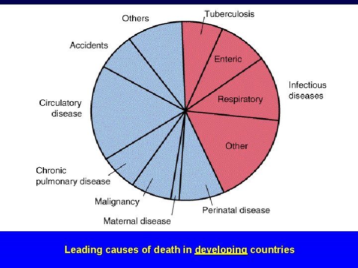 Leading causes of death in developing countries 