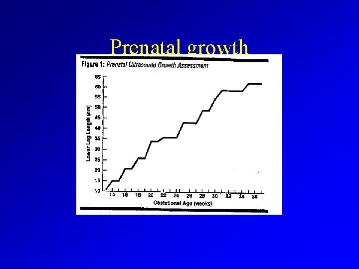 Prenatal growth 