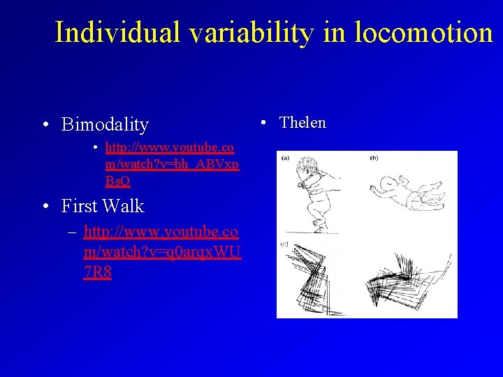 Individual variability in locomotion • Bimodality • http: //www. youtube. co m/watch? v=bh_ABVxp Bs.