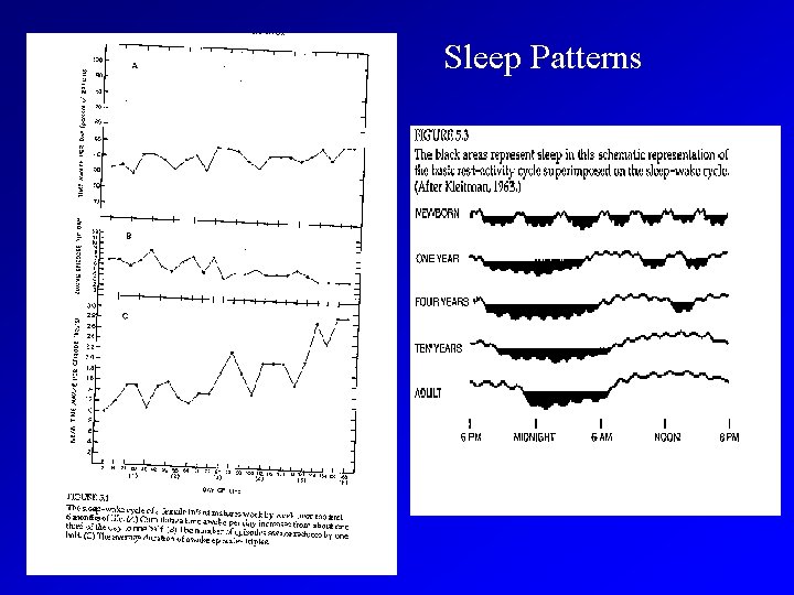 Sleep Patterns 