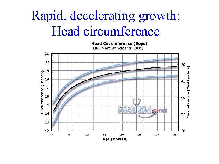 Rapid, decelerating growth: Head circumference 6 mos. . 17” Birth 13. 75” 12 mos.