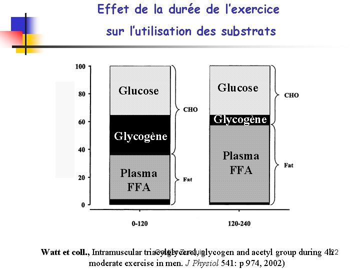Effet de la durée de l’exercice sur l’utilisation des substrats Glucose Glycogène Plasma FFA