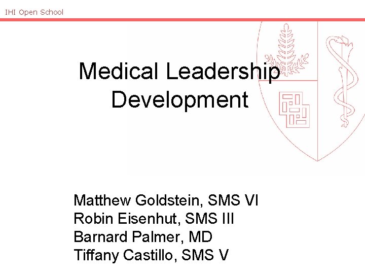 IHI Open School Medical Leadership Development Matthew Goldstein, SMS VI Robin Eisenhut, SMS III