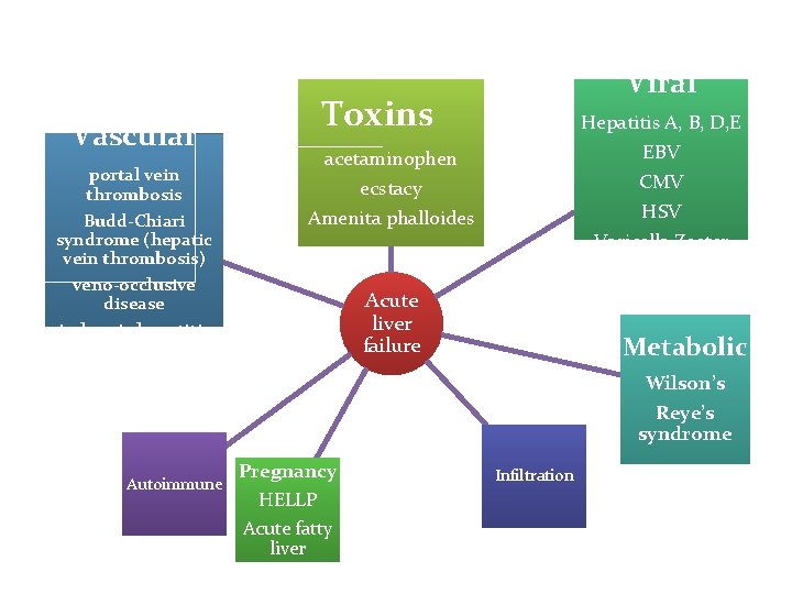 Vascular portal vein thrombosis Budd-Chiari syndrome (hepatic vein thrombosis) Viral Toxins Hepatitis A, B,