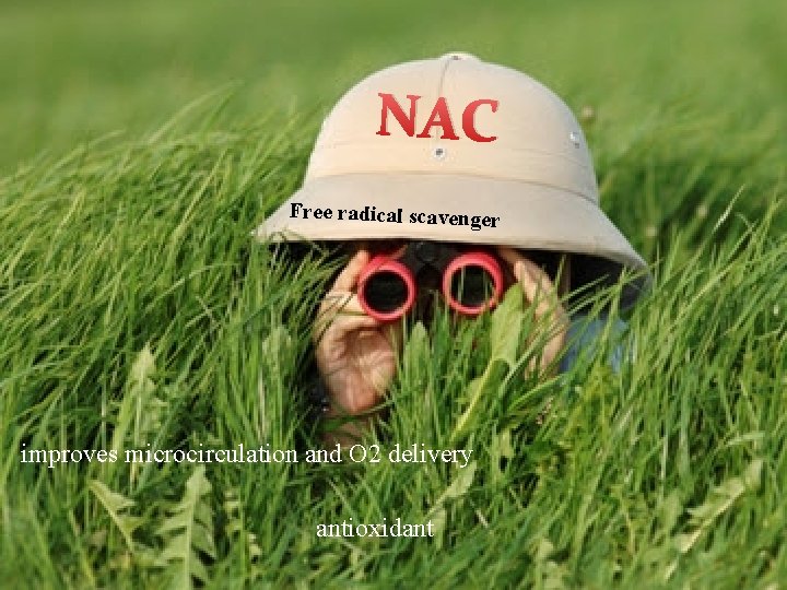 NAC Free radical scavenger improves microcirculation and O 2 delivery antioxidant 