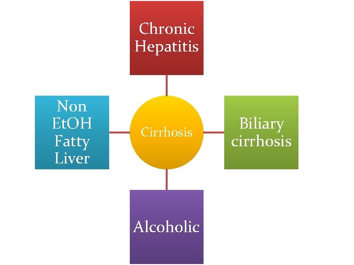 Chronic Hepatitis Non Et. OH Fatty Liver Cirrhosis Alcoholic Biliary cirrhosis 