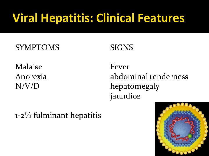 Viral Hepatitis: Clinical Features SYMPTOMS SIGNS Malaise Anorexia N/V/D Fever abdominal tenderness hepatomegaly jaundice