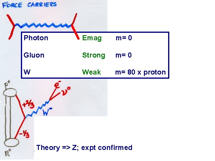 Photon Emag m= 0 Gluon Strong m= 0 W Weak m= 80 x proton