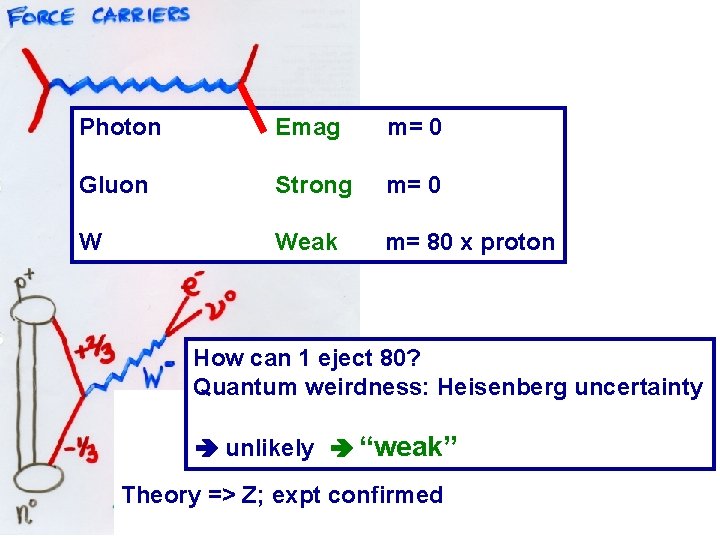 Photon Emag m= 0 Gluon Strong m= 0 W Weak m= 80 x proton