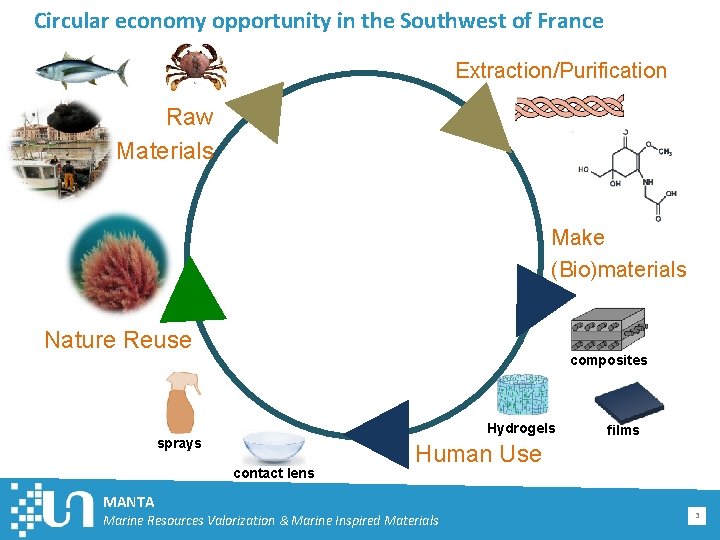 Circular economy opportunity in the Southwest of France Extraction/Purification Raw Materials Make (Bio)materials Nature