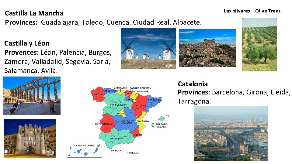 Castilla La Mancha Provinces: Guadalajara, Toledo, Cuenca, Ciudad Real, Albacete. Las olivares – Olive